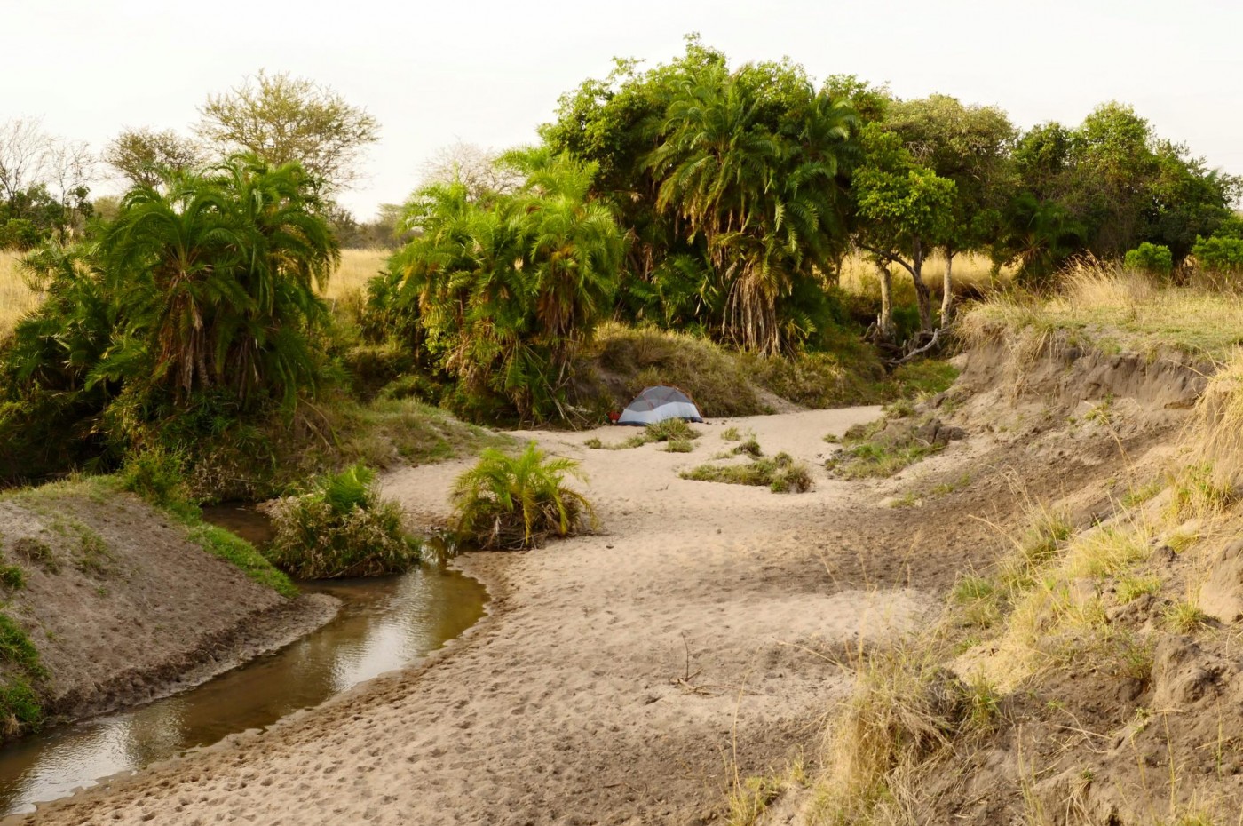 Wayo fly camping, Tanzania