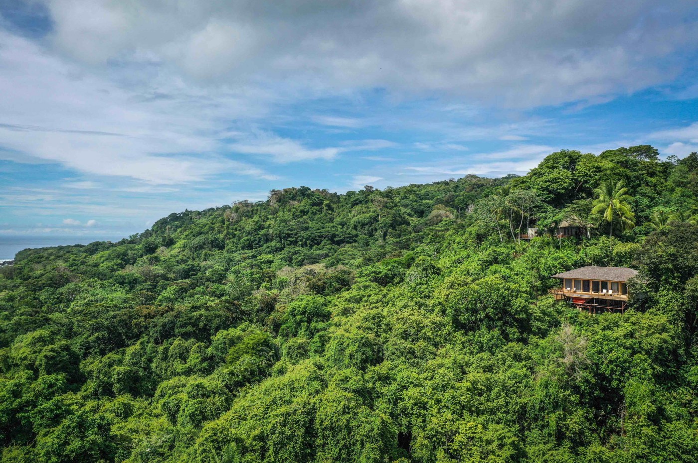 Lapa Rios, Osa Peninsula, Costa Rica