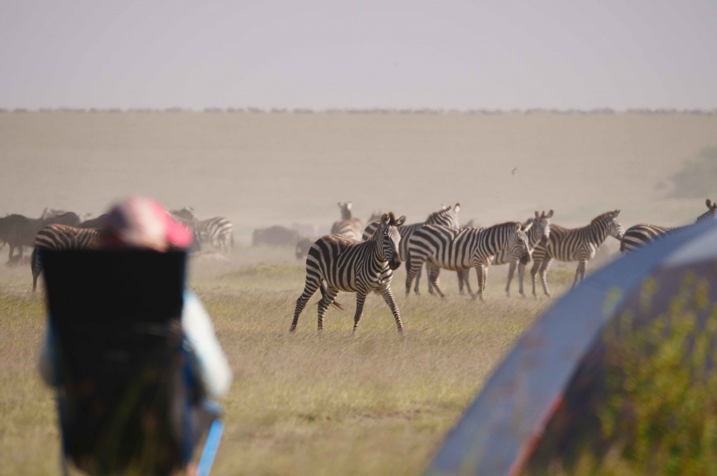 Wayo fly camping, Tanzania