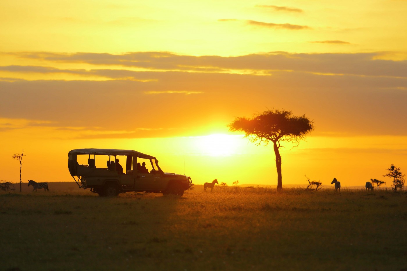 Basecamp Explorer, Masai Mara, Kenya