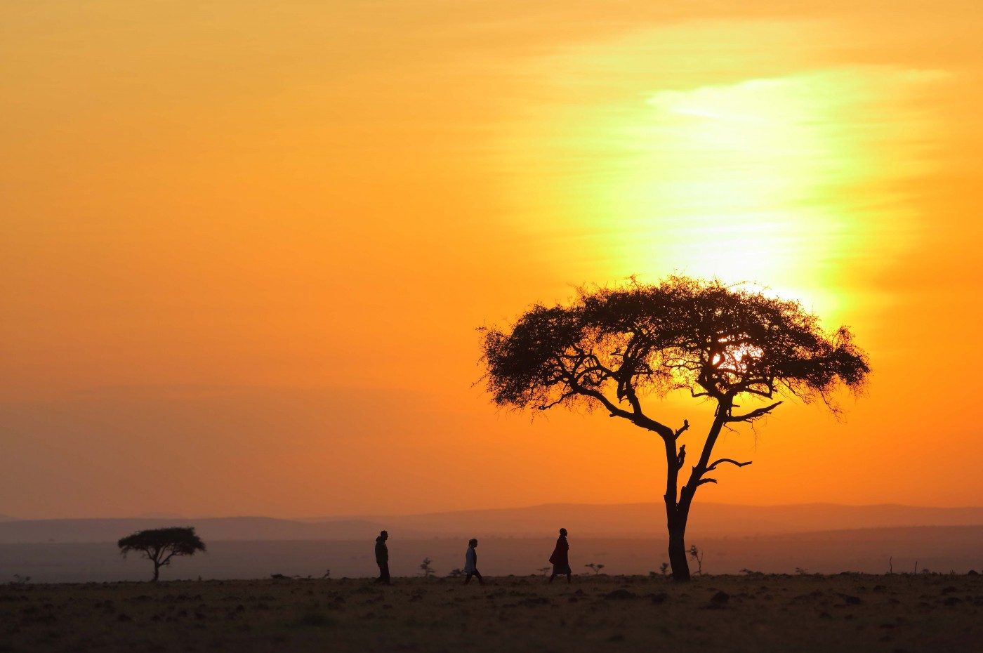 Basecamp Explorer, Masai Mara, Kenya
