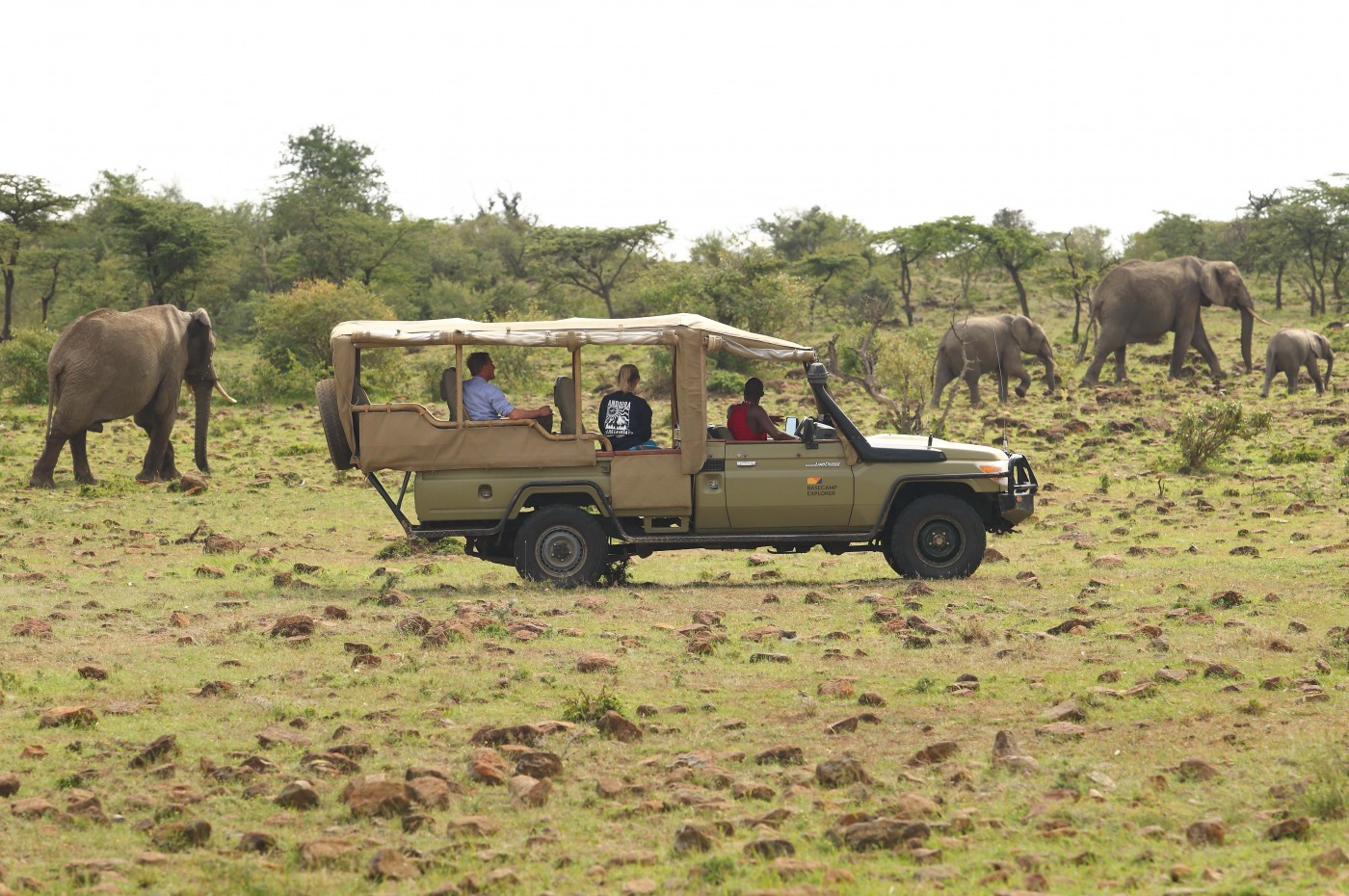 Game drive Naboisho Masai Mara Basecamp