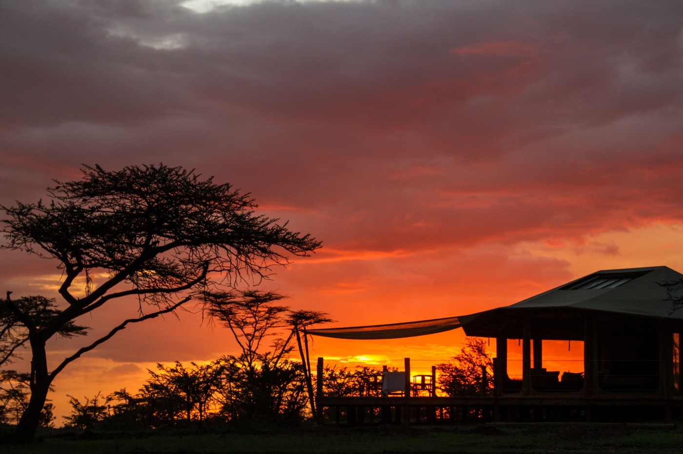 Leopard Hill Basecamp Explorer, Masai Mara, Kenya