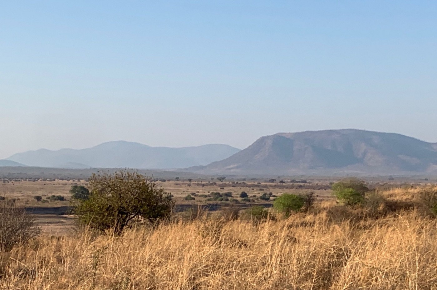 Ruaha National Park, Tanzania