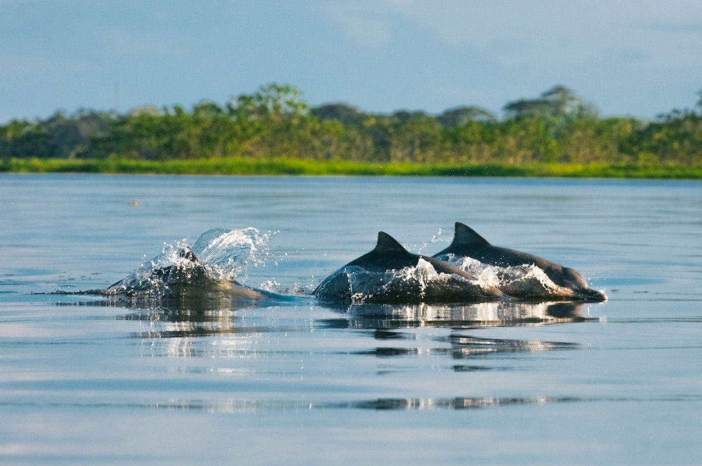 Uakari Lodge, Amazonas, Brazil