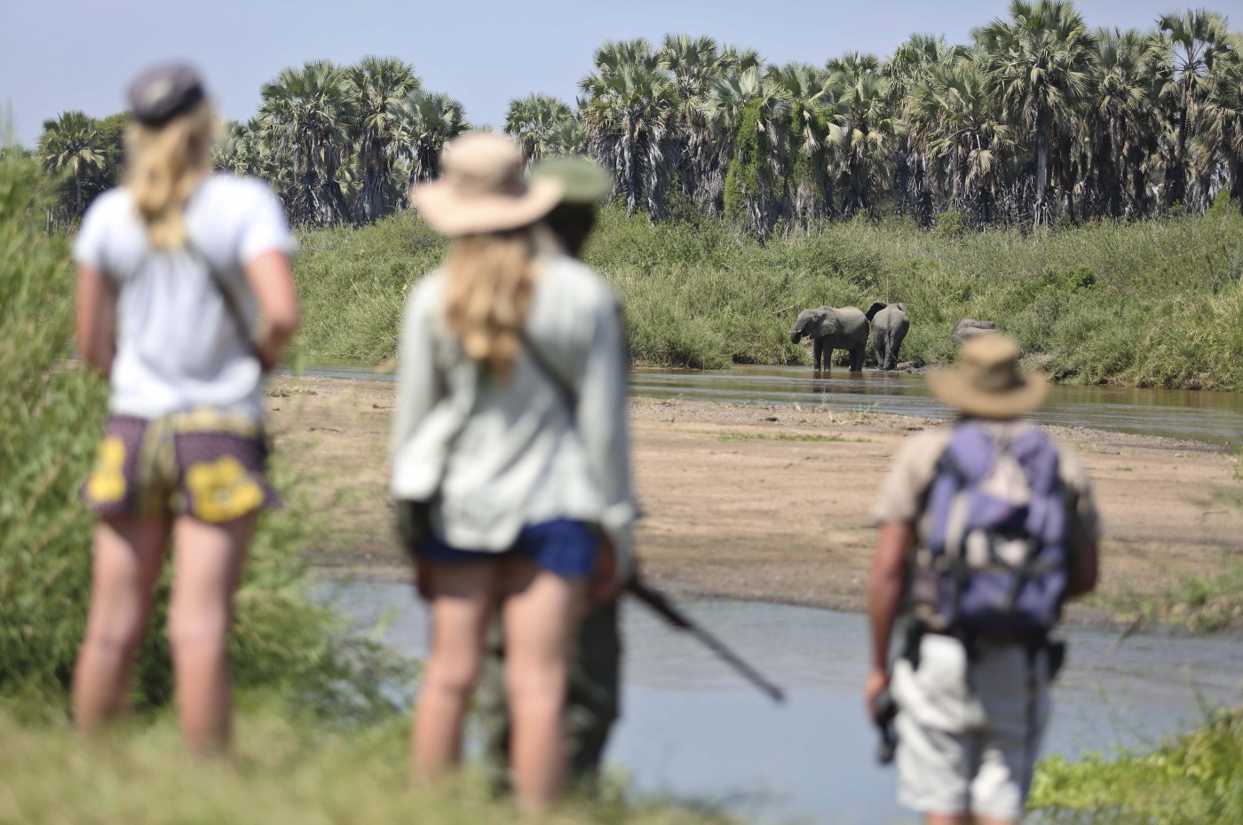 Kichaka Expeditions, Ruaha, Tanzania
