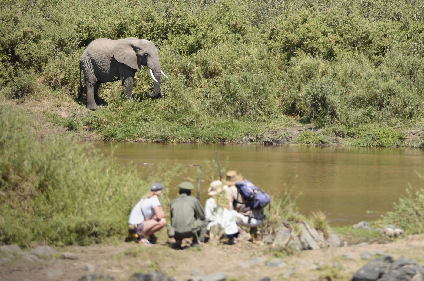 Kichaka Expeditions, Ruaha, Tanzania