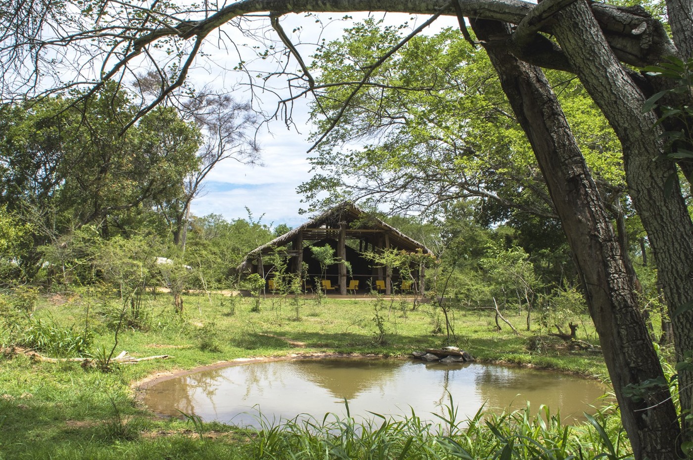 Tree Tops Jungle Lodge, Buttala/Yala, Sri Lanka