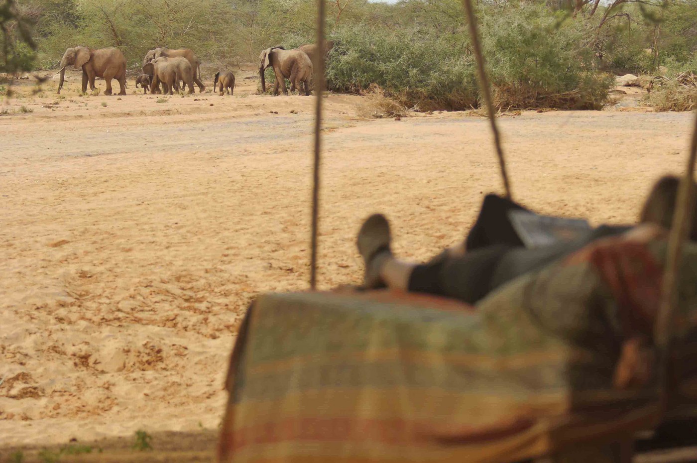 Saruni Rhino, Samburu, Kenya