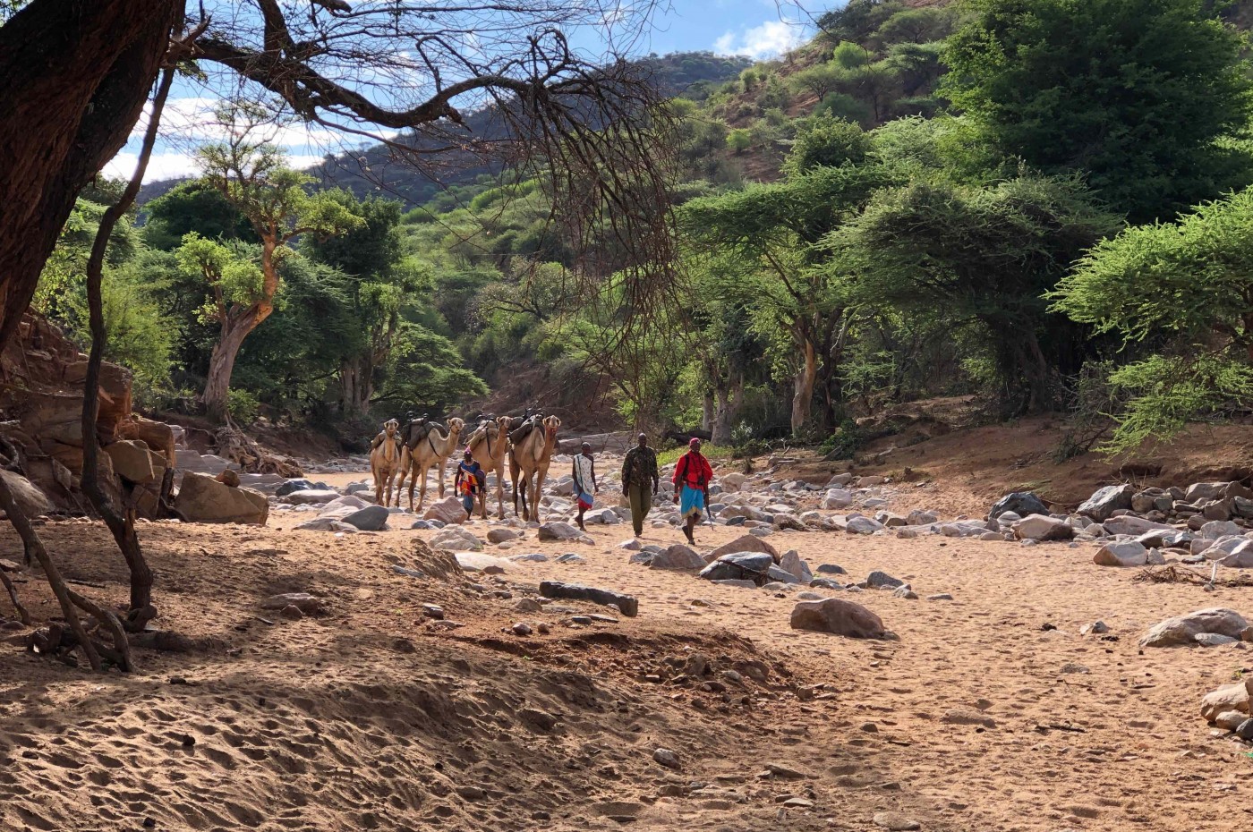 Karisia Walking Safari, Laikipia, Kenya