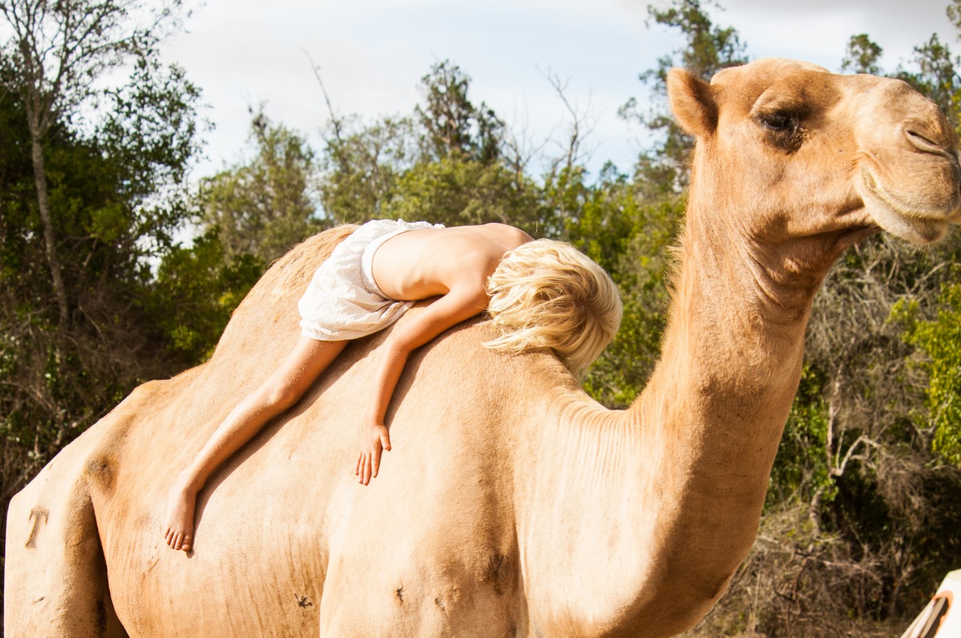 Karisia Walking Safari, Laikipia, Kenya