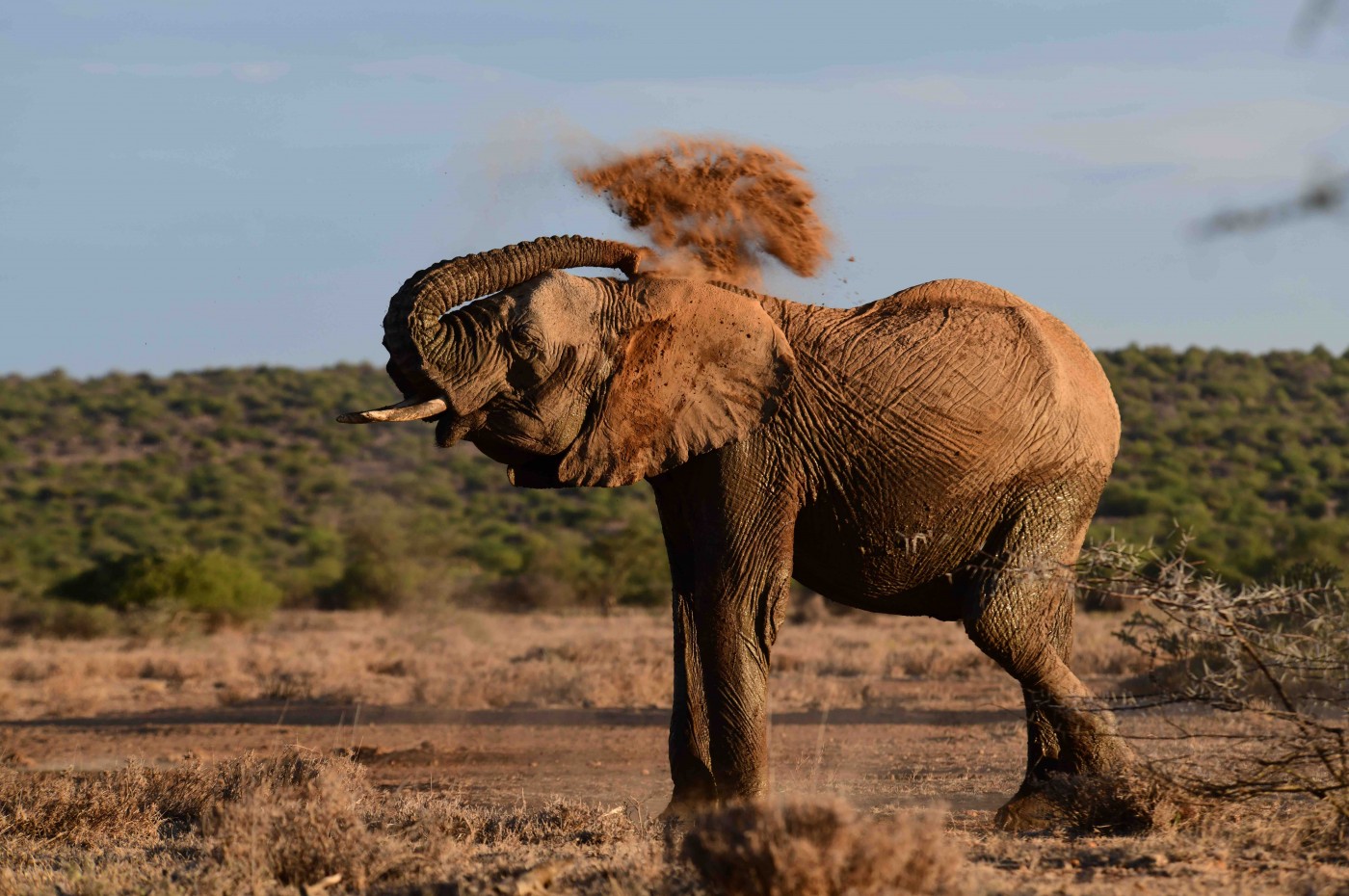 Karisia Walking Safari, Laikipia, Kenya