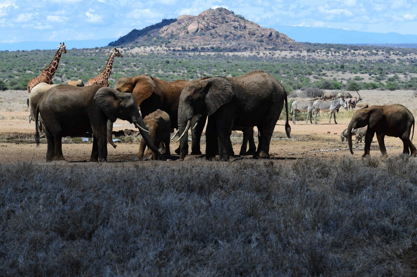 Karisia Walking Safari, Laikipia, Kenya