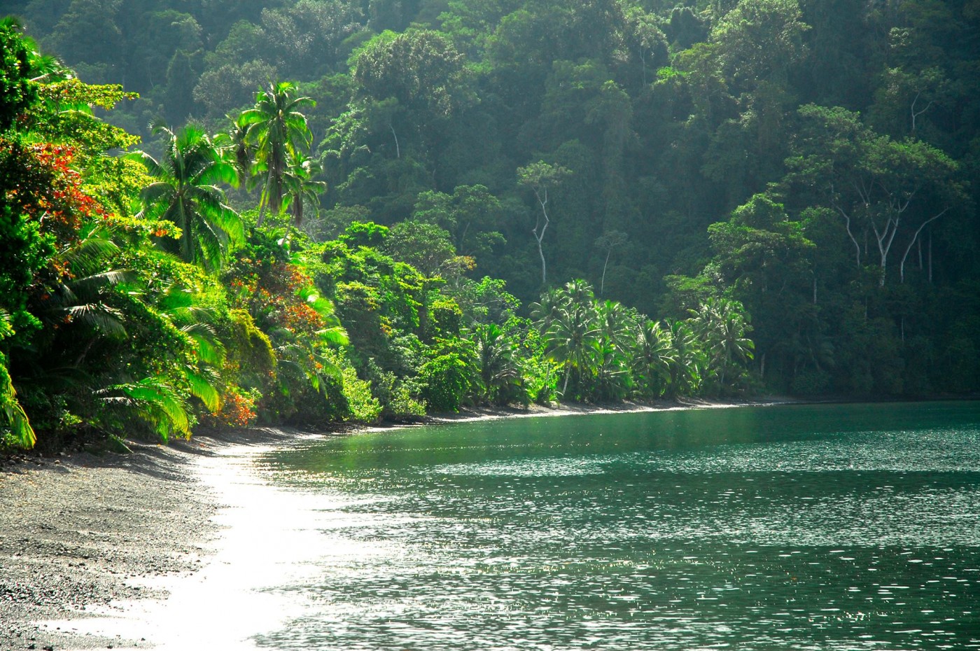 Playa Nicuesa Rainforest Lodge, Golfo Dolce, Costa Rica