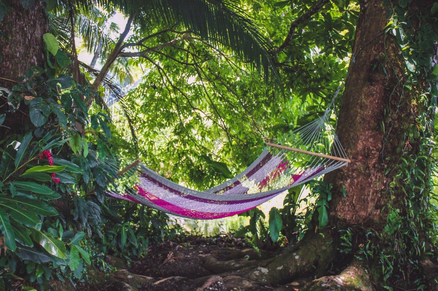 Playa Nicuesa Rainforest Lodge, Golfo Dolce, Costa Rica