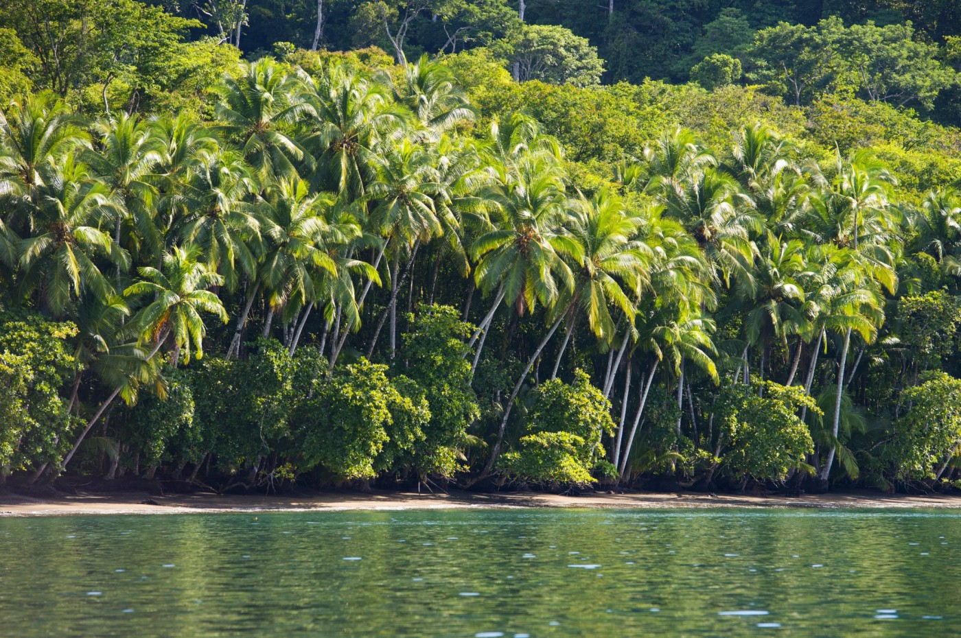 Playa Nicuesa Rainforest Lodge, Golfo Dolce, Costa Rica