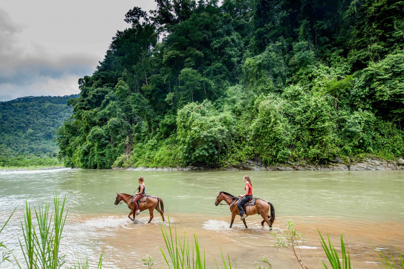 Rafiki Safari Lodge, Savegre, Costa Rica