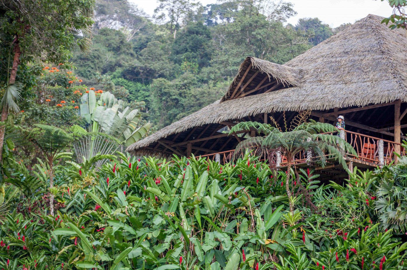 Rafiki Safari Lodge, Savegre, Costa Rica