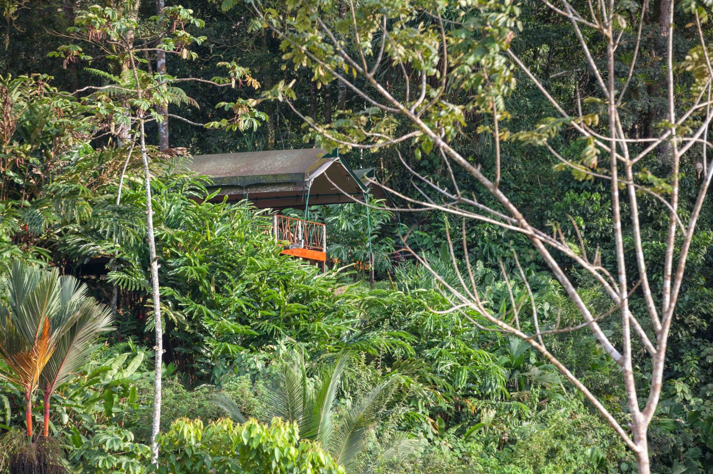 Rafiki Safari Lodge, Savegre, Costa Rica