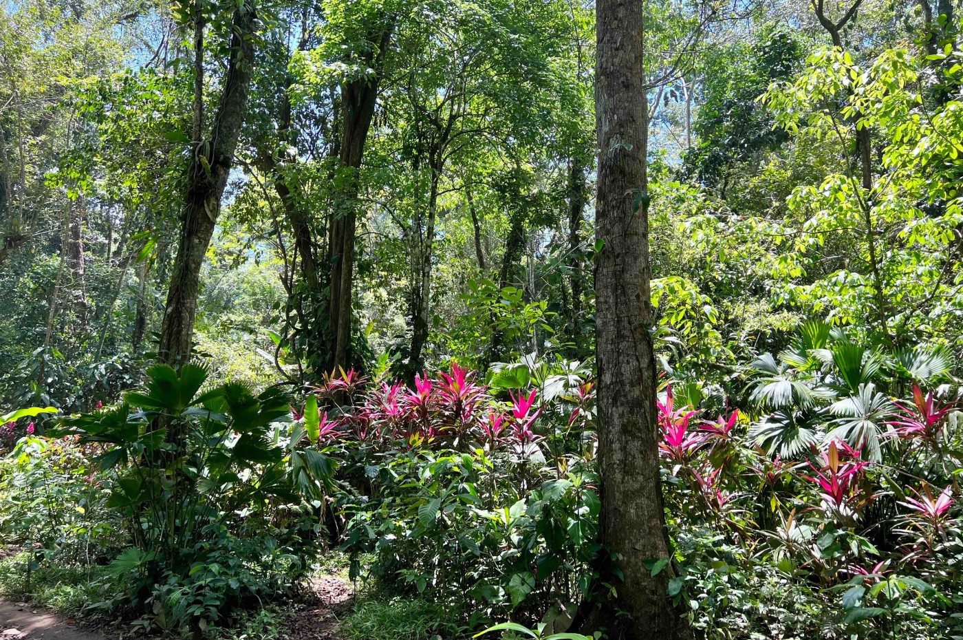 Talamanca-bjergene, Costa Rica