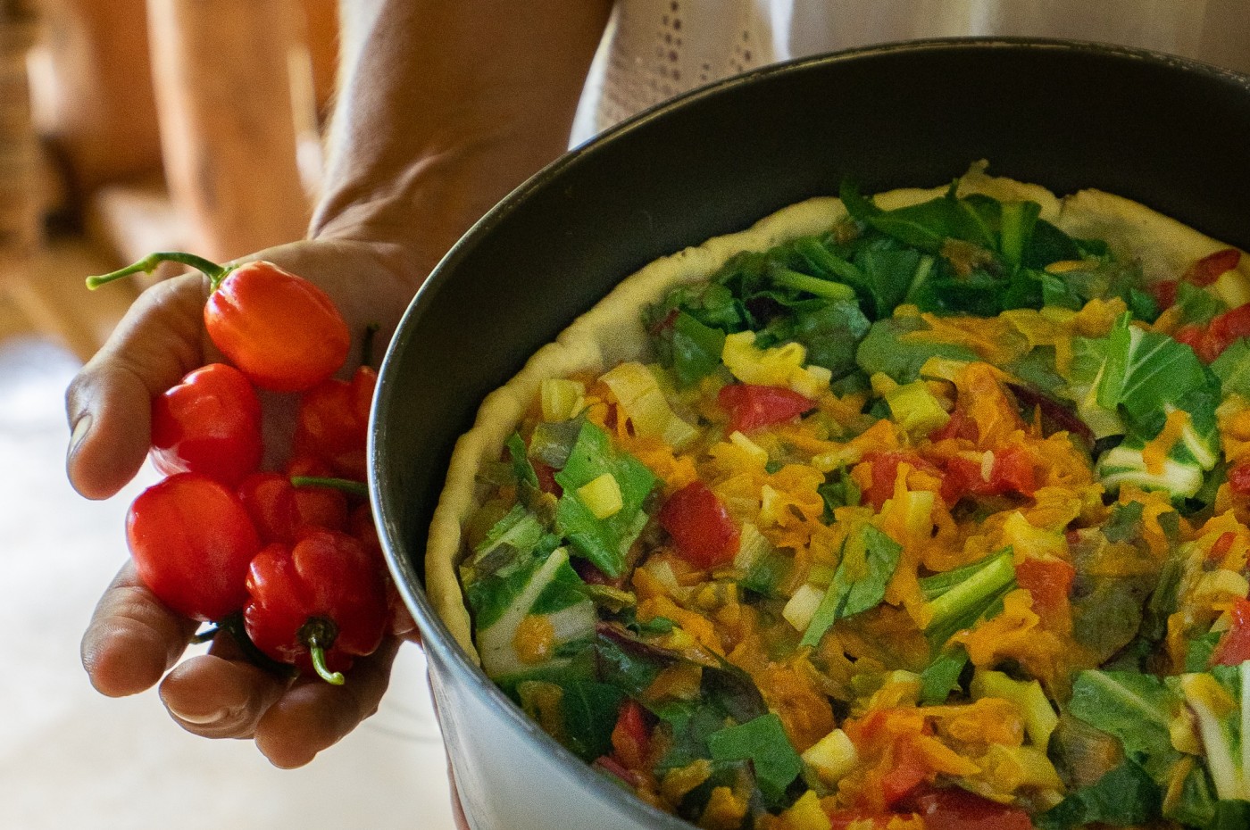 El Valle Lodge, Samana-halvøen, Den Dominikanske Republik