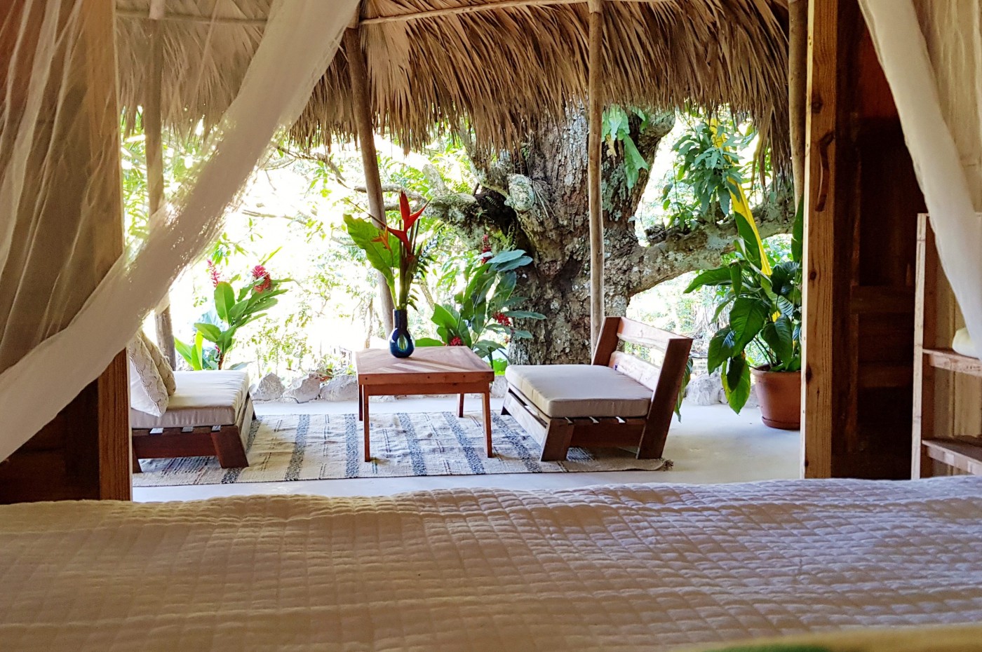 El Valle Lodge, Samana-halvøen, Den Dominikanske Republik