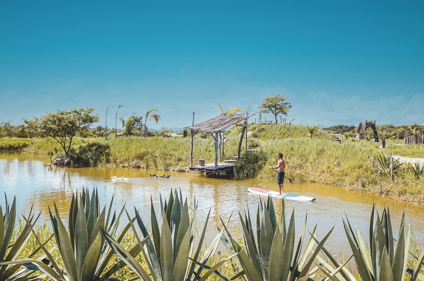 Greenland Bubble Glamping, Cabarete, Den Dominikanske Republik