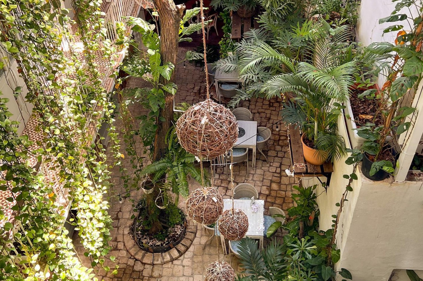 Mosquito Boutique Hotel, Santo Domingo, Den Dominikanske Republik