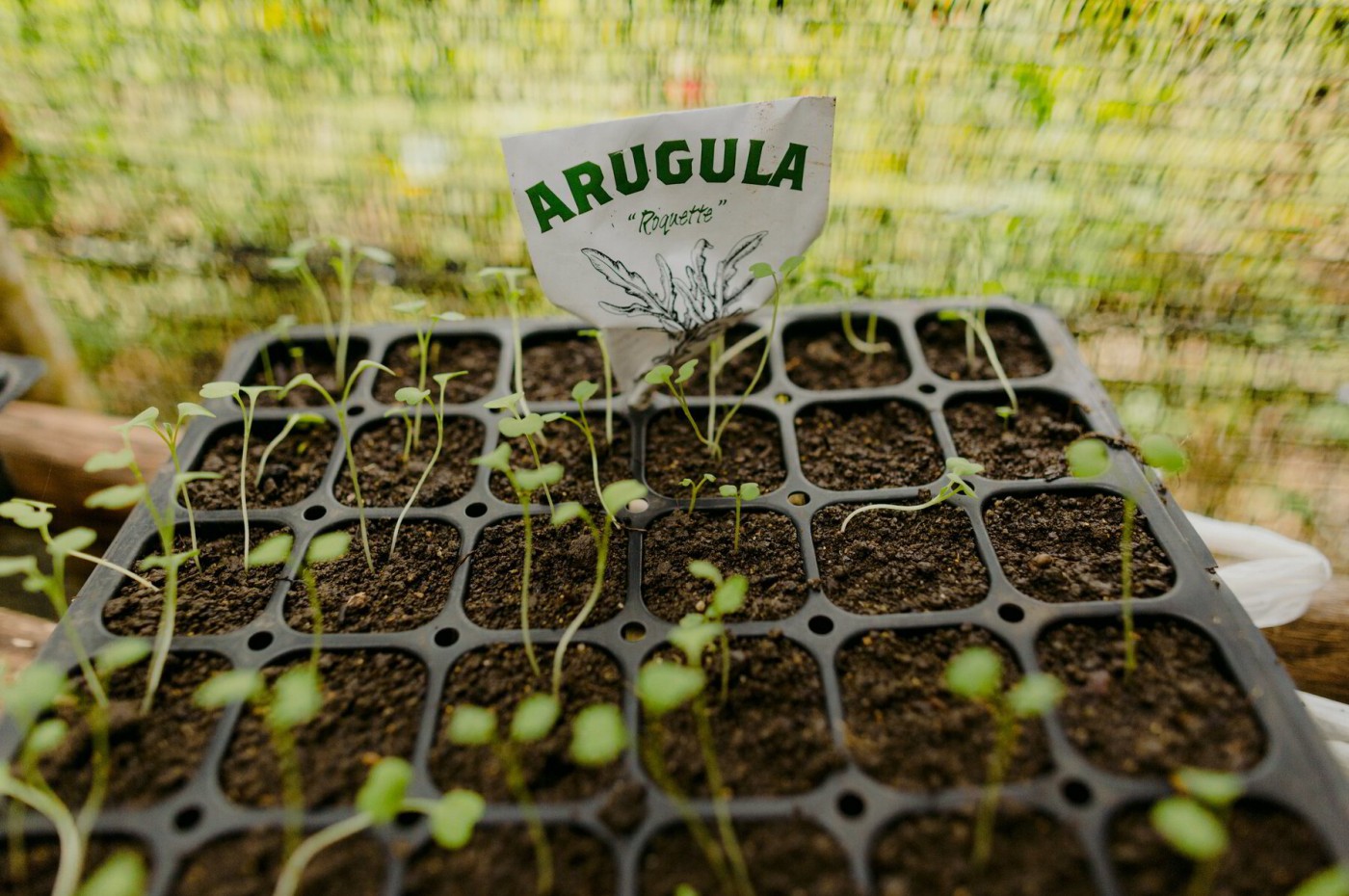 Natura Cabana Boutique Hotel and Spa, Cabarete, Den Dominikanske Republik