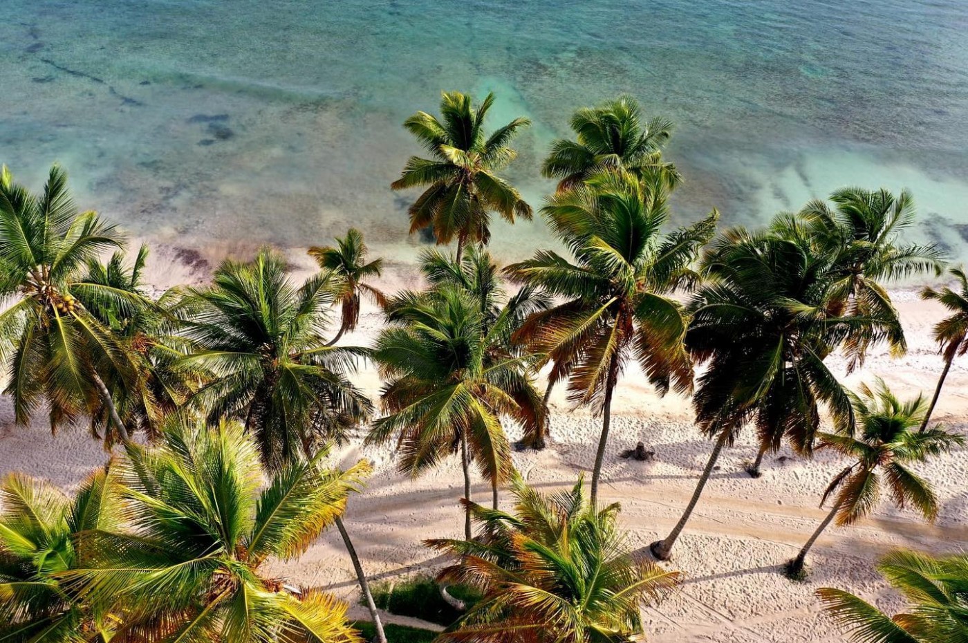 Hotel Todo Blanco, Las Galeras, Samana-halvøen, Den Dominikanske Republik