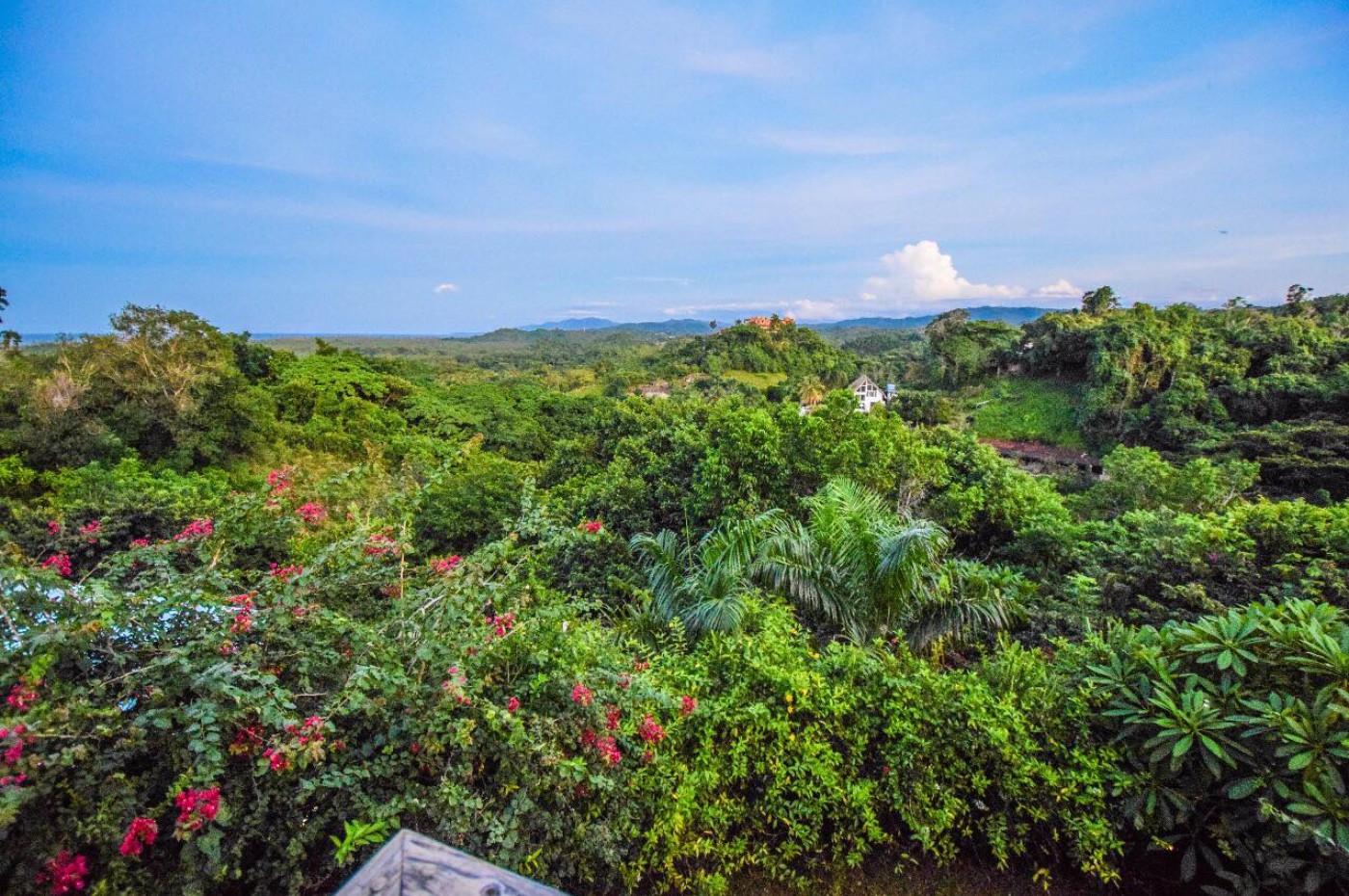 Clave Verde Ecolodge, Las Terrenas, Samana-halvøen