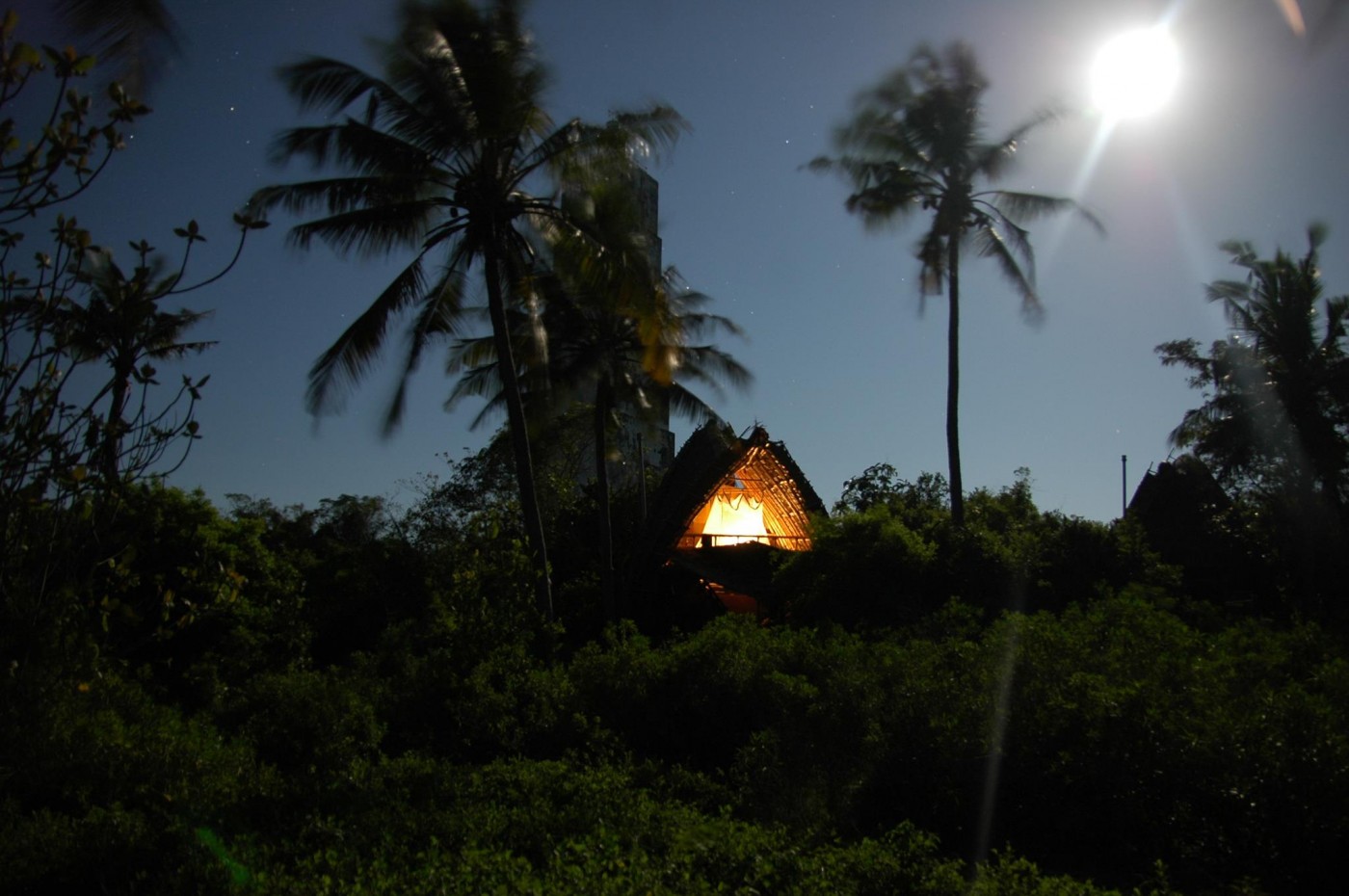 Chumbe Island Coral Park, tæt på Zanzibar, Tanzania