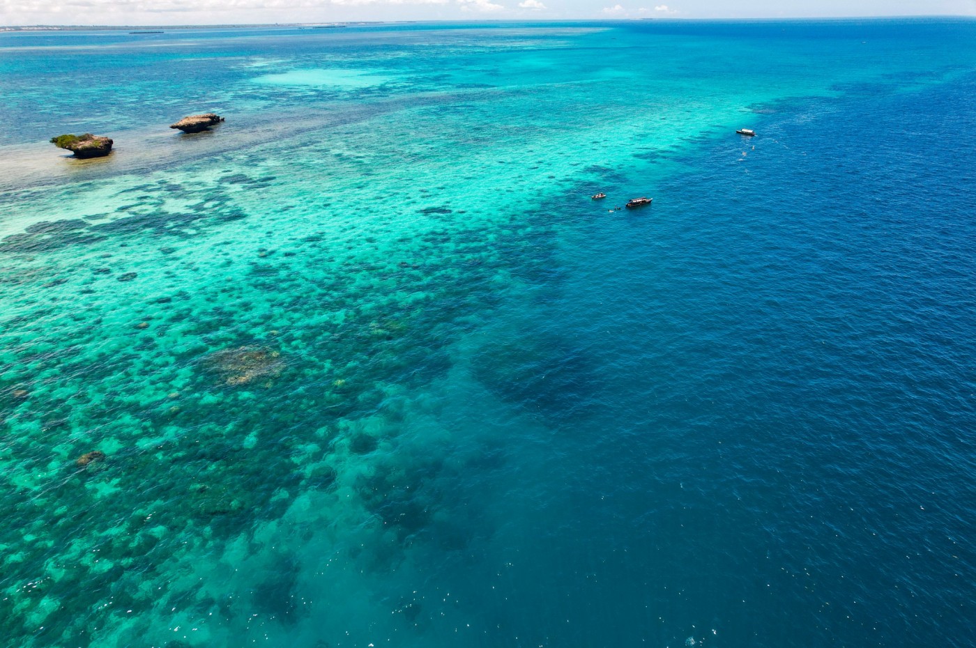 Chumbe Island Coral Park, tæt på Zanzibar, Tanzania
