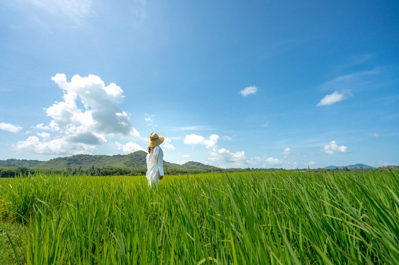 Paradise Koh Yao, Koh Yao Noi, Thailand