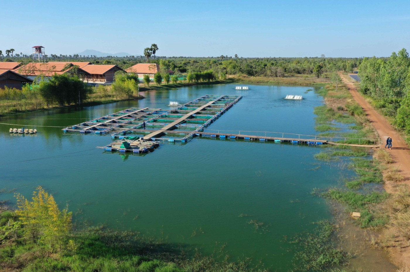 fiskefarm på Smiling Gecko's Farmhouse Resort & Spa, Cambodja