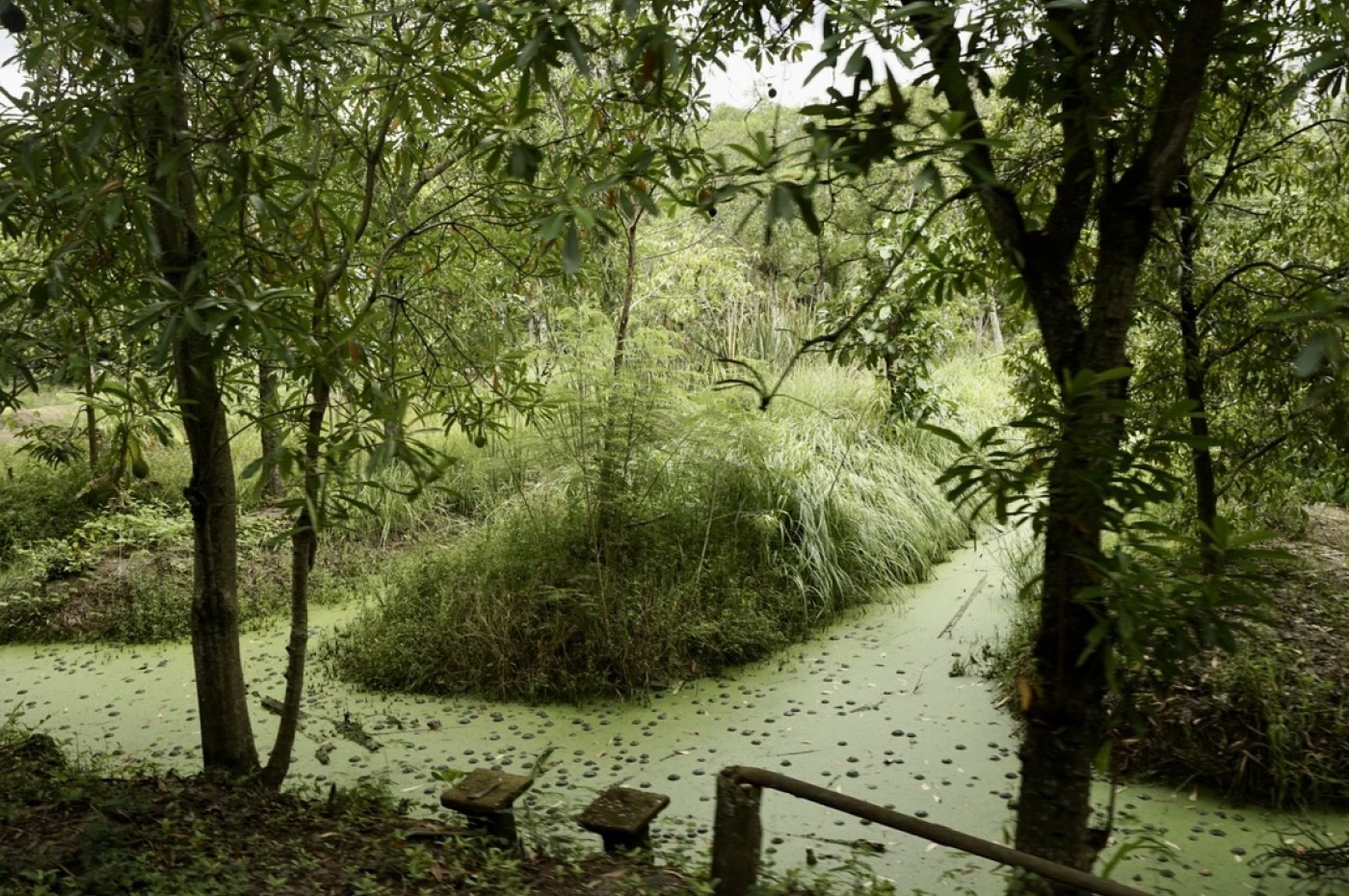 Bangkok cykel og kajak, Thailand