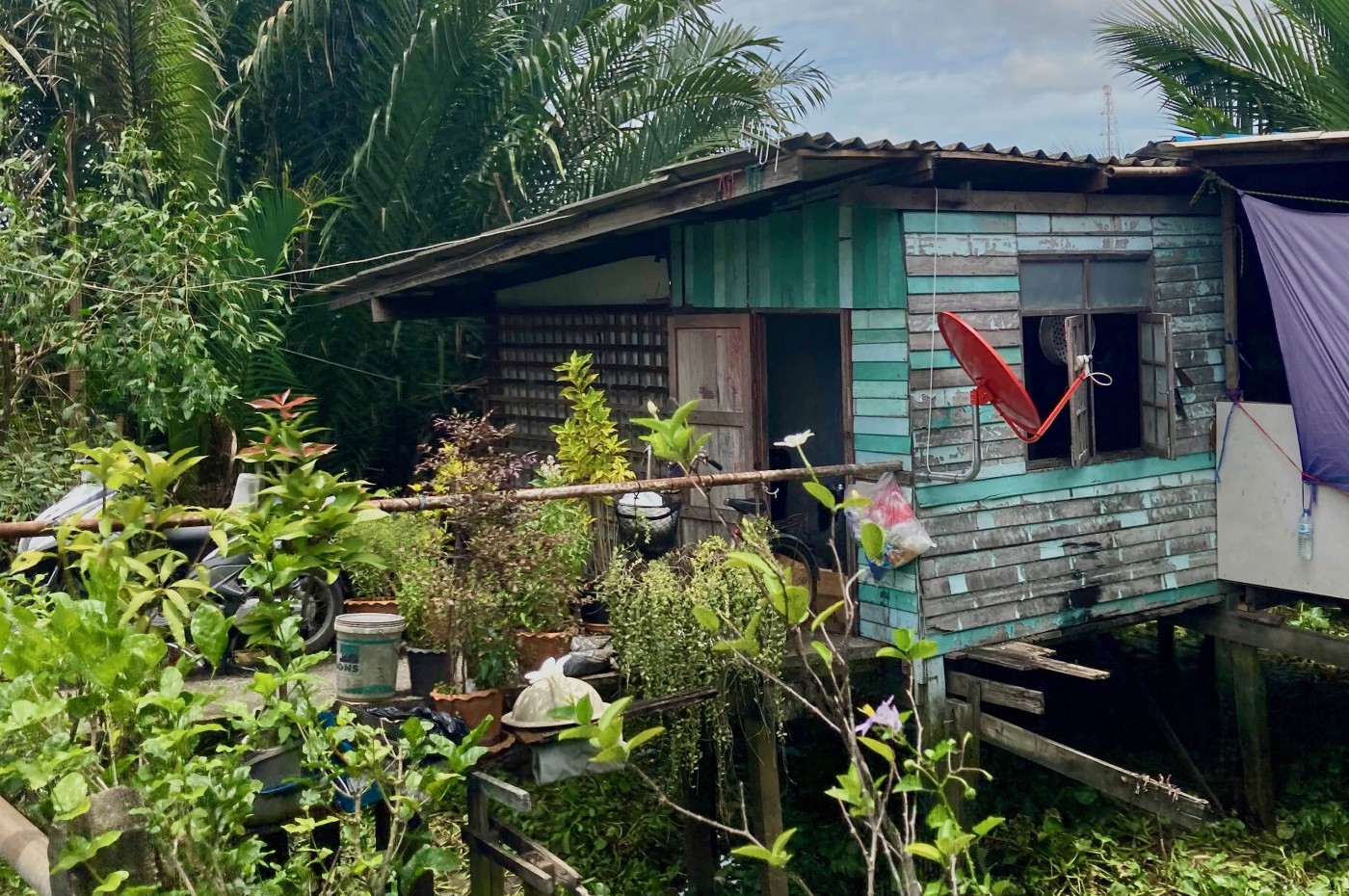 Bangkok cykel og kajak, Thailand