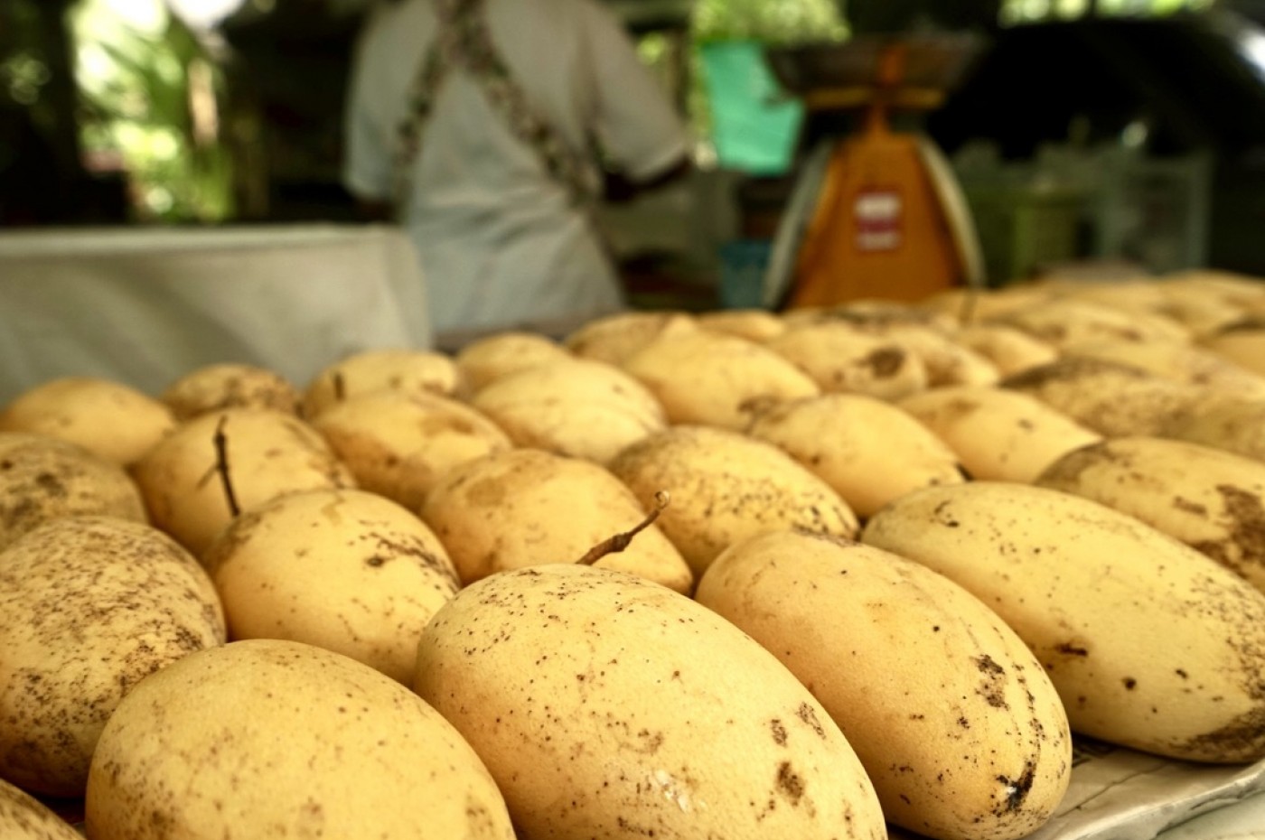 Bangkok cykel og kajak, Thailand