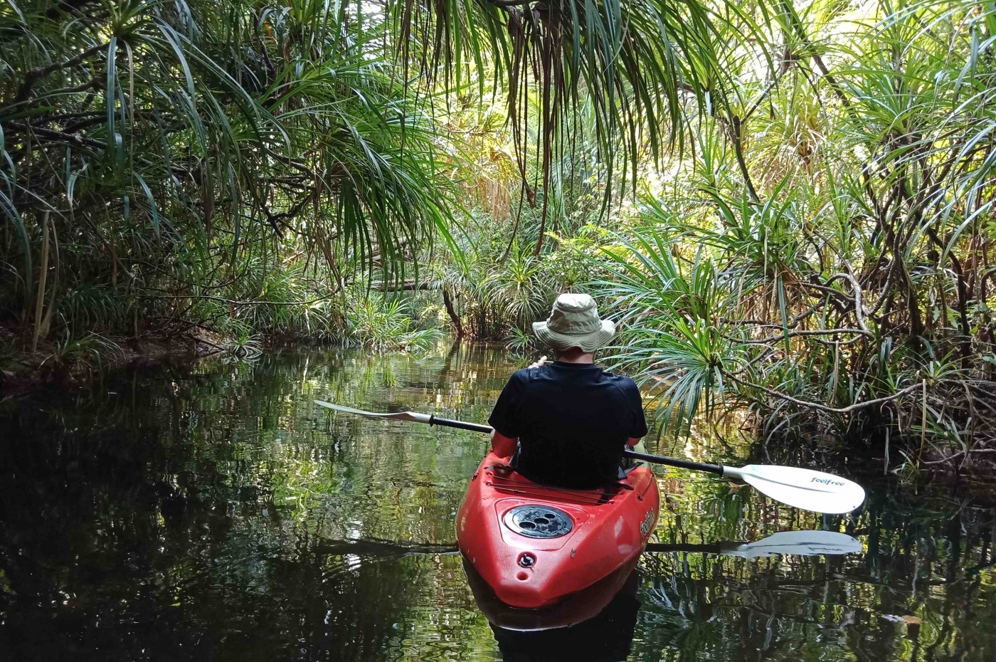 Kajak gennem junglen på Cardamom Tented Camp, Cambodja