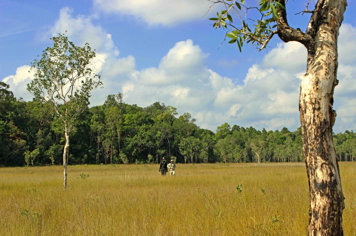 Cardamom Tented Camp, Cambodja