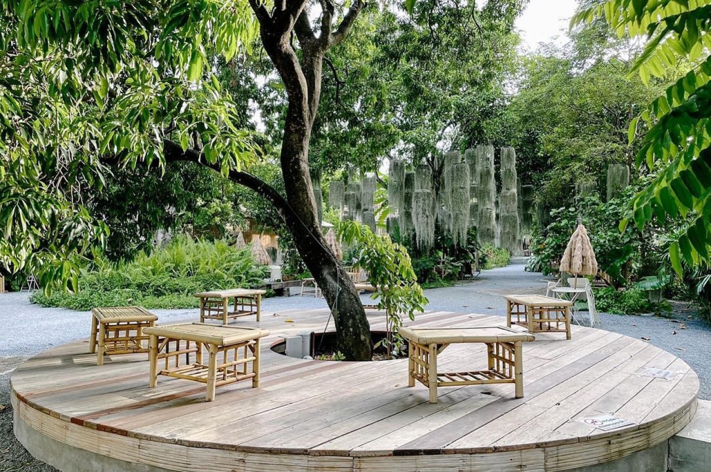 Poomjai Garden, Out and About, Bangkok, Thailand