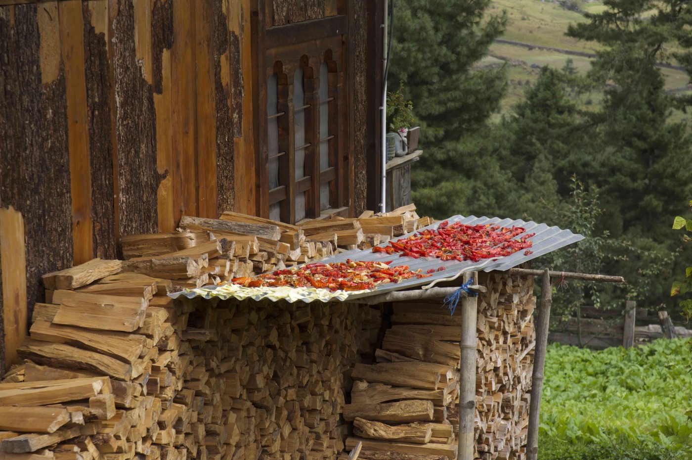 tørrede chili, Bhutan