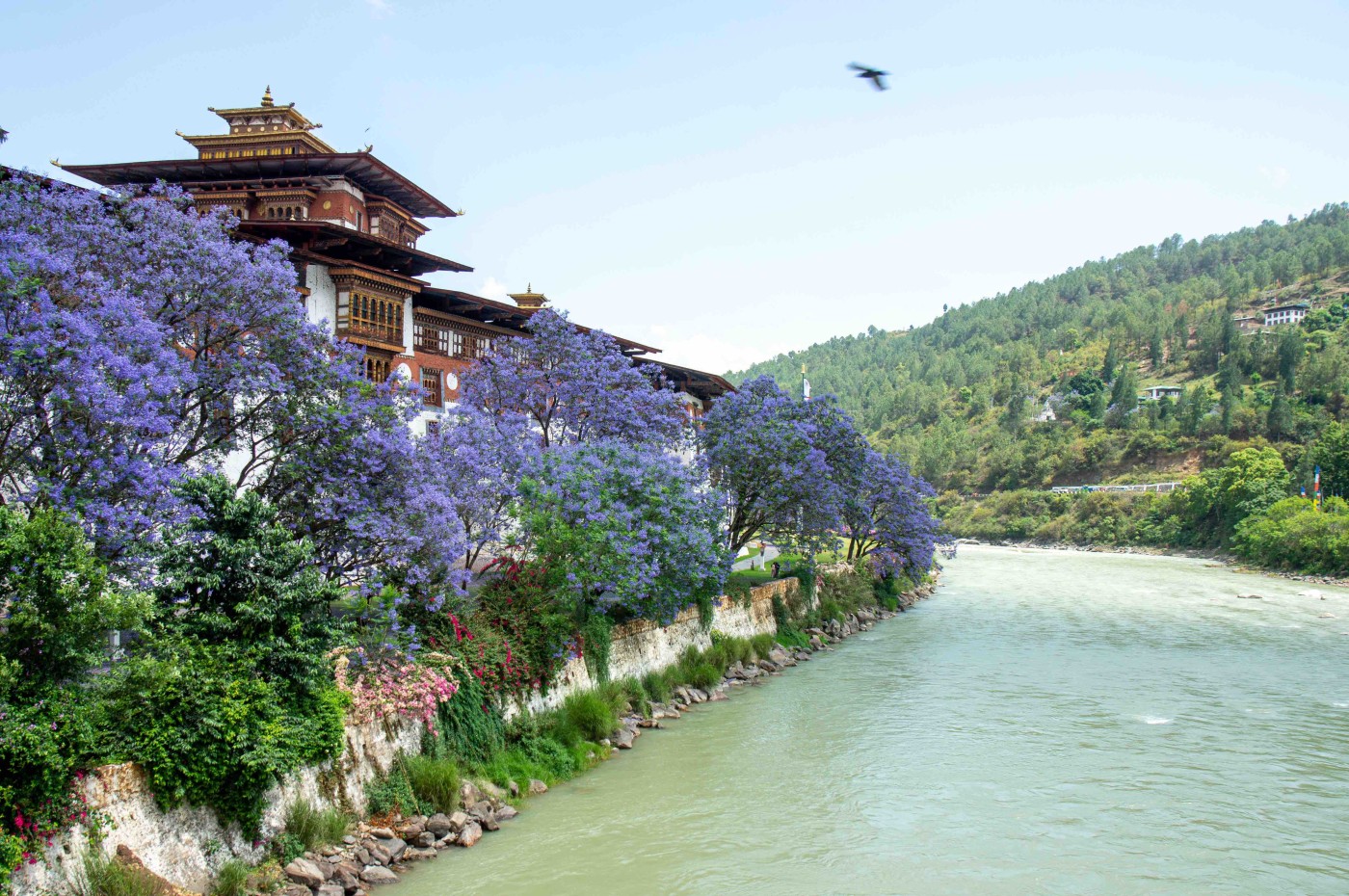 Punakha Dzong, Bhutan
