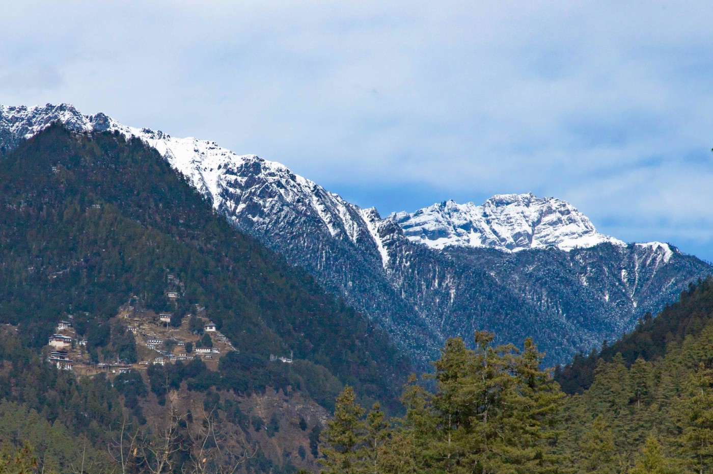 Chagri Dorjeden Kloster, Thimphu, Bhutan