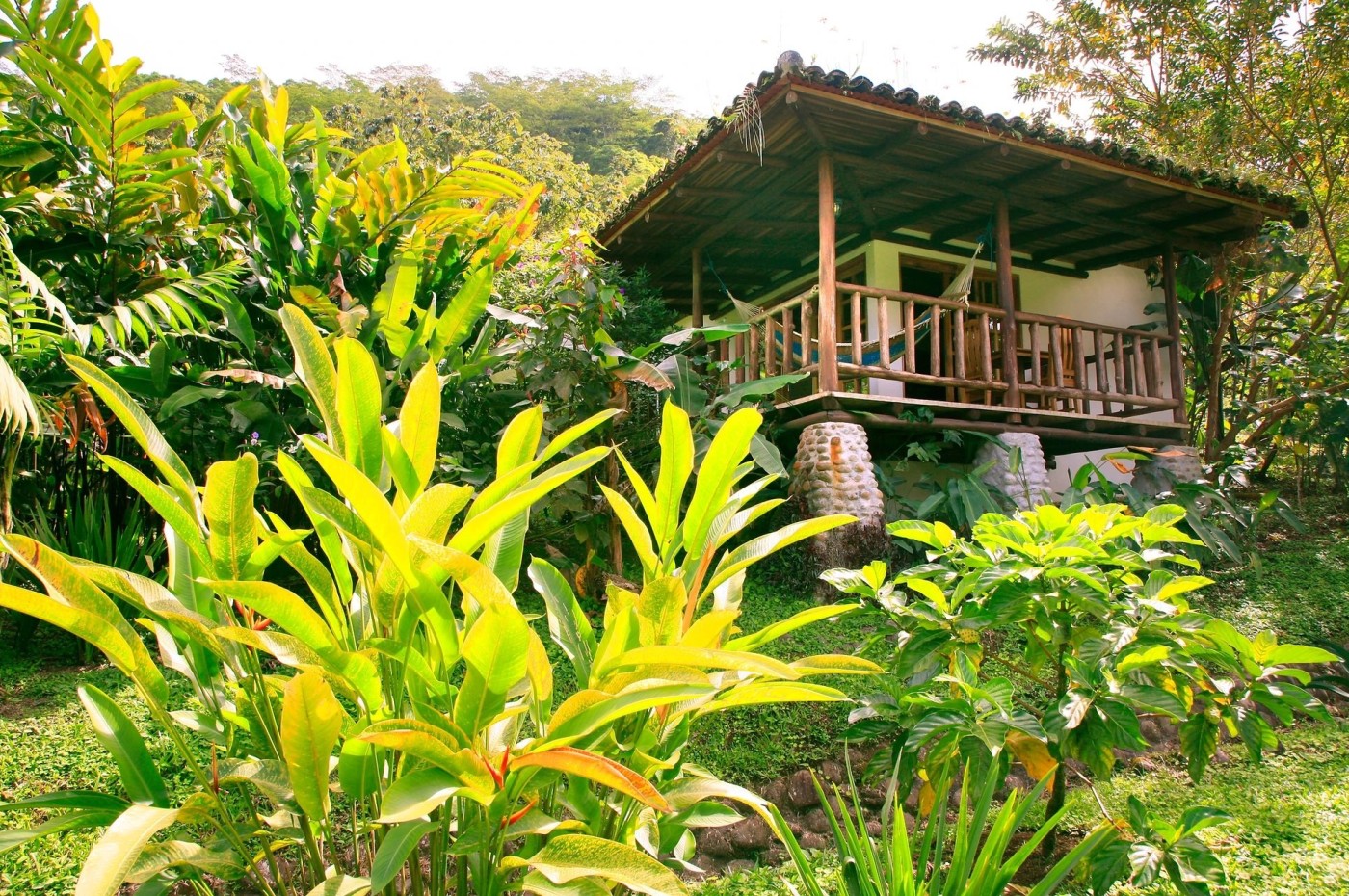 Bungalow og terrasse i grøn have, Rancho Margot, Arenal, Costa Rica
