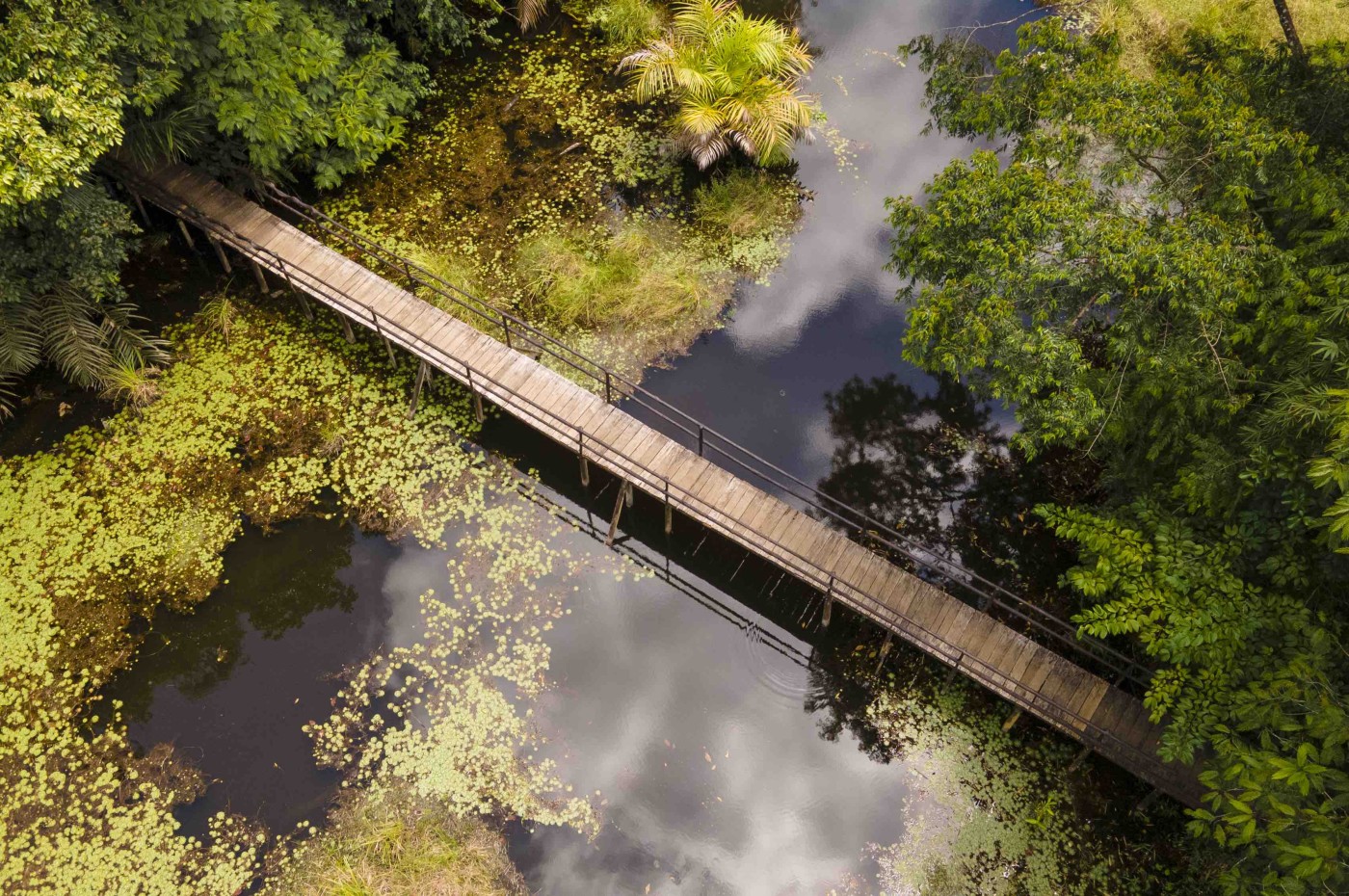 Bro Maquenque Ecolodge, Costa Rica