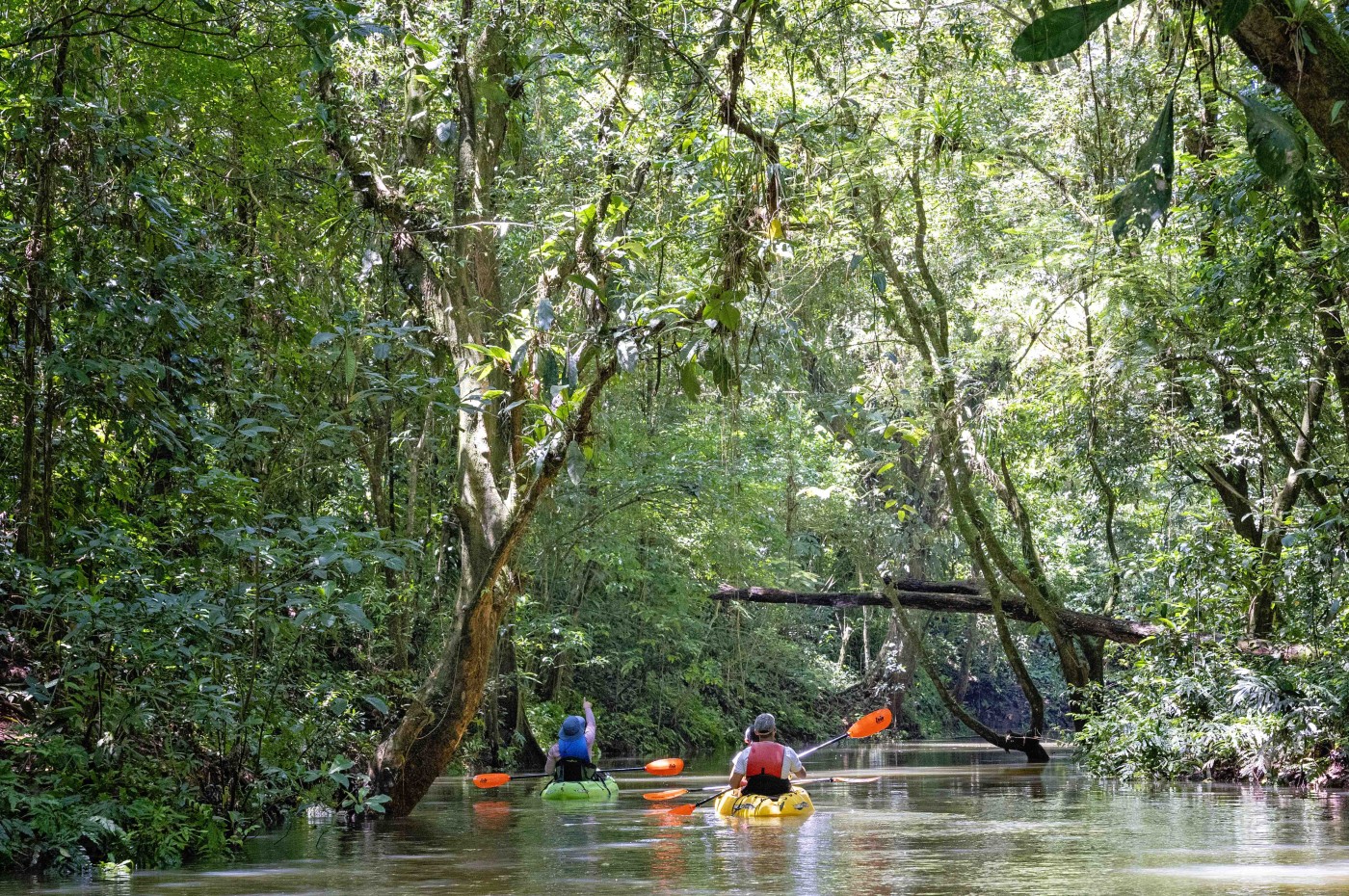 kajak og regnskov, Maquenque Ecolodge, Costa Rica