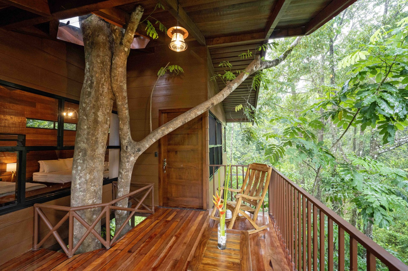 Trætophytte og balkon, Maquenque Ecolodge, Costa Rica