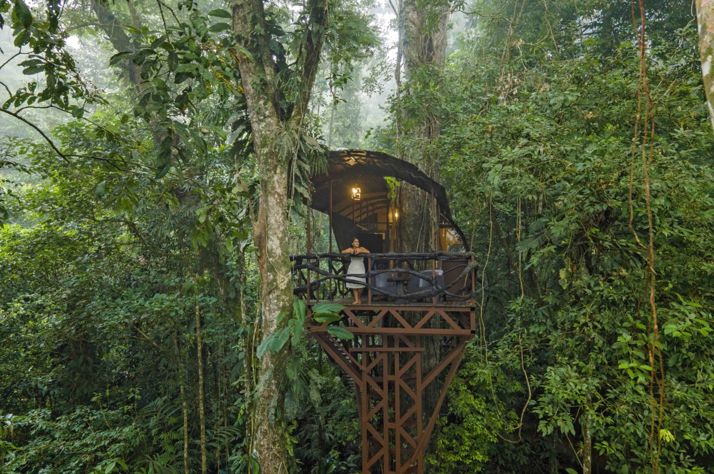Trætophytte, Maquenque Ecolodge, Costa Rica