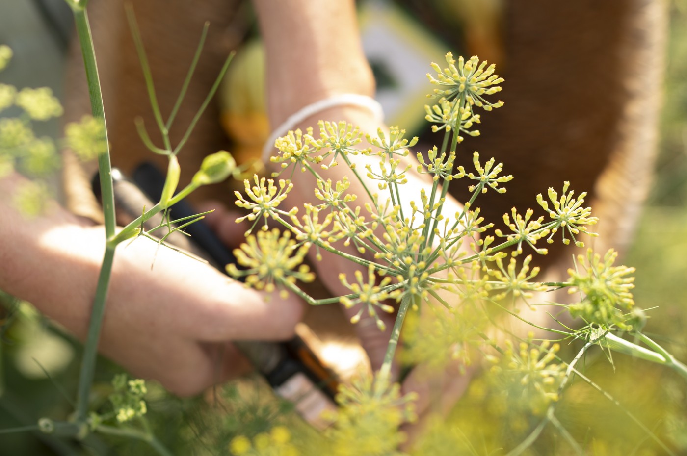 El Karama Lodge, Laikipia, Kenya